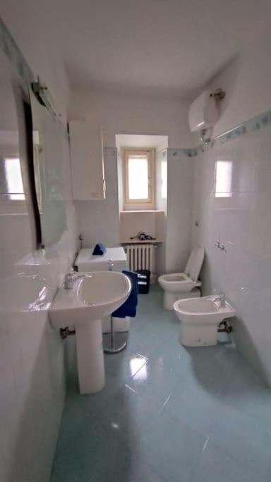 Casa Giafer Apt Luminoso Spazioso Ben Localizzato フィレンツェ エクステリア 写真
